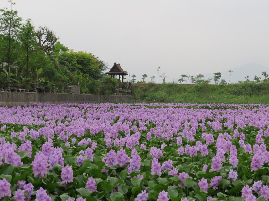 Beautiful Yilan Resort Dongshan  Eksteriør bilde